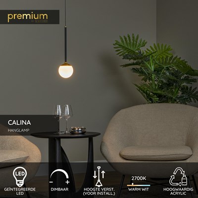 Lucide CALINA - Hanglamp - Ø 9,9 cm - LED Dimb. - 1x9W 2700K - Zwart | Premium